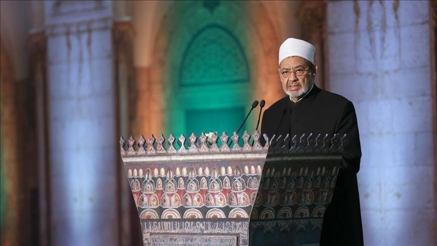  شيخ الأزهر الدكتور أحمد الطيب(الأناضول)
