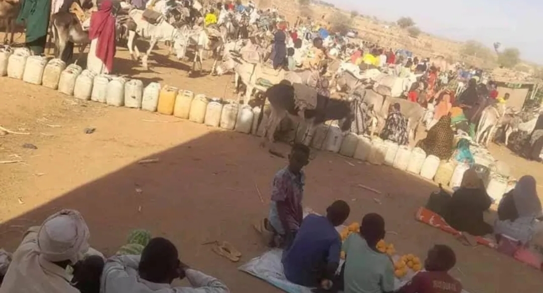تقرير يحذر من (كارثة إنسانية) في مدينة الفاشر السودانية (سبوتنيك)