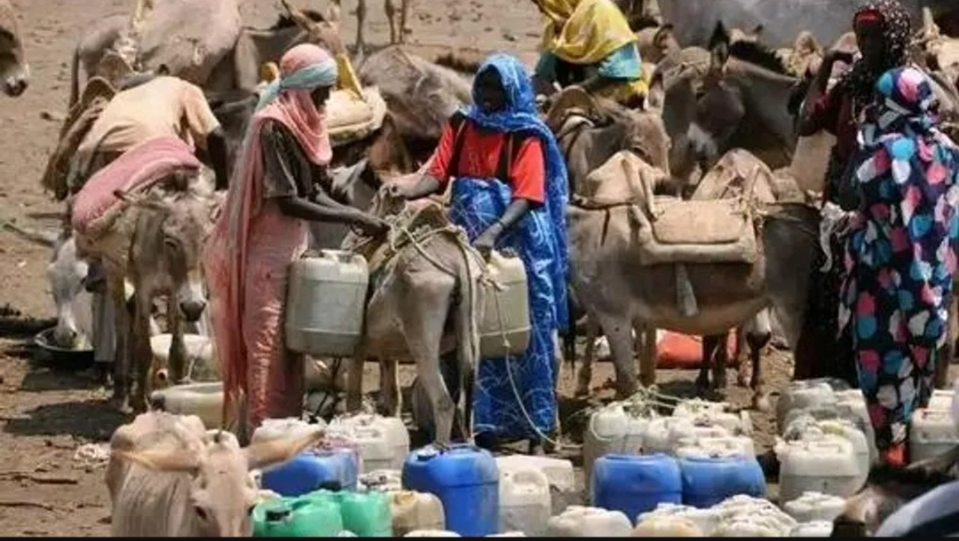 في ظل الحصار ومنع الخروج... معاناة السكان تتفاقم في شمال دارفور بالسودان (سبوتنيك)