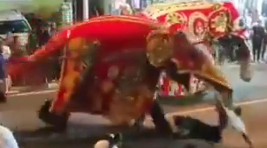 فيل هائج يثير الذعر في موكب ديني جنوبي سريلانكا (متداولة على منصة إكس)
