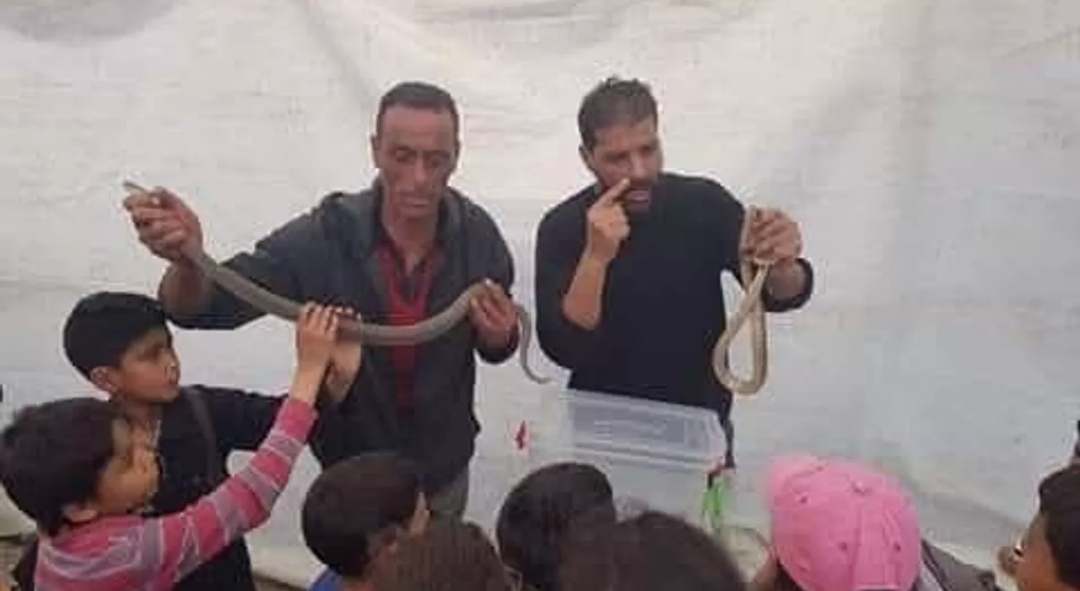 بشير البجاوي... التونسي الذي روض الكوبرا وحول الخطر إلى مهنة استثنائية (سبوتنيك)