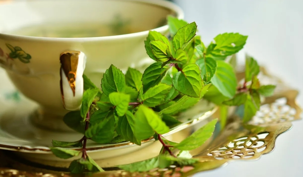 6 فئات من الناس ممنوعة من شرب الشاي الأخضر... تعرف إليها؟ (بيكسابي)