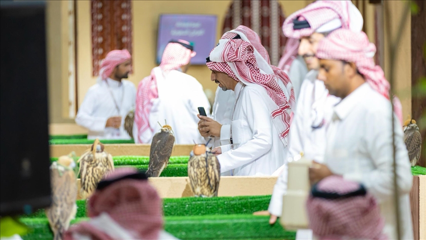 السعودية.. مزاد دولي لإنتاج الصقور يحقق مبيعات بـ 3.46 ملايين دولار (الأناضول)