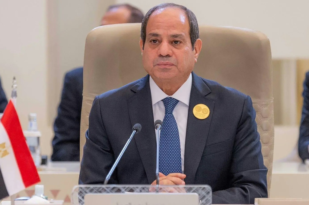 الرئيس المصري عبد الفتاح السيسي (أ ف ب)