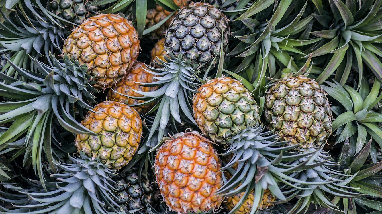 دراسة: 6 أشخاص يجب عليهم تجنب تناول الأناناس (أونسبلاش)