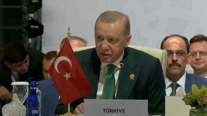 أردوغان بقمة الدوحة: يجب تكثيف جهودنا لتعزيز العقوبات على إسرائيل (الأناضول)