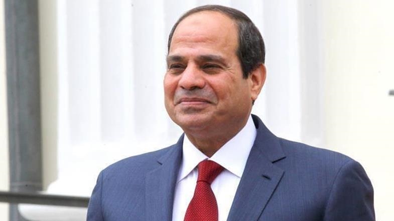 السيسي: أقدر جهود ترامب بشأن وقف حرب غزة (الأناضول)