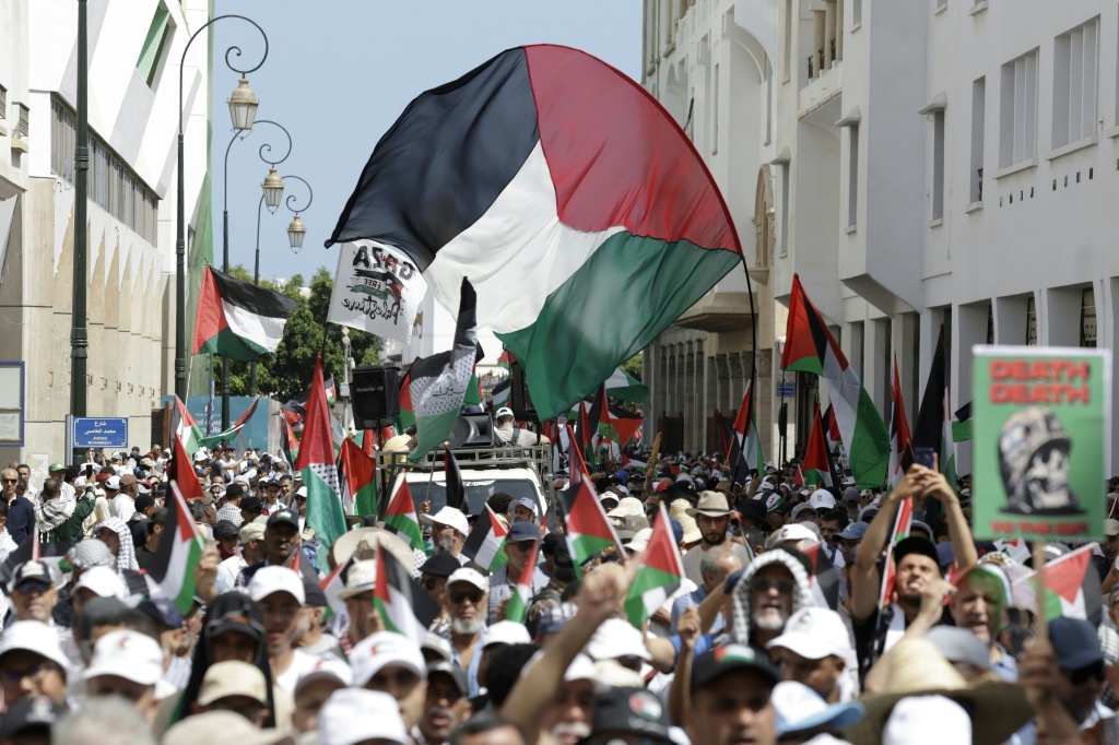 رفع المشاركون في هذه الوقفات لافتات تطالب المجتمع الدولي بخطوات عملية لتوقيف الإبادة الإسرائيلية (ا ف ب)