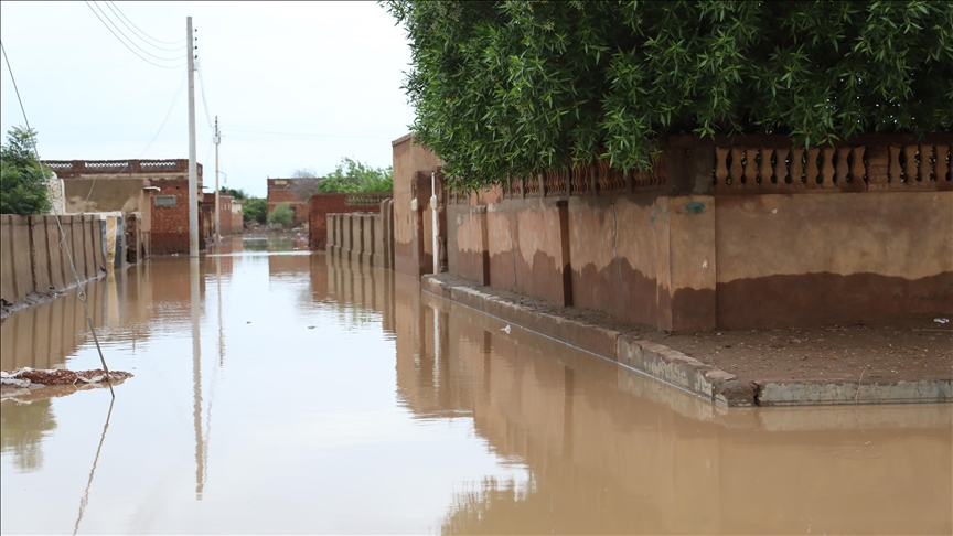 فيضانات النيل بالسودان.. تحذيرات حكومية ومزارع غارقة (الأناضول)