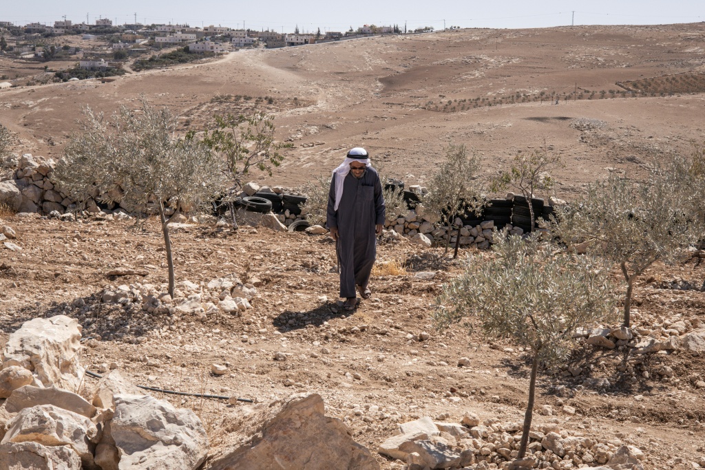 فلسطيني يتجول في حقله من أشجار الزيتون بعد هجوم نفذه مستوطنون إسرائيليون على قرية إلى جنوب قرية يطا في الضفة الغربية المحتلة في 8 تشرين الأول/أكتوبر 2025 (أ ف ب)
