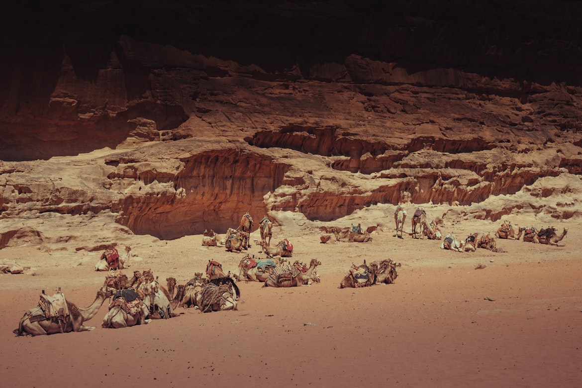 مصير أول مستوطني المريخ (أونسبلاش)