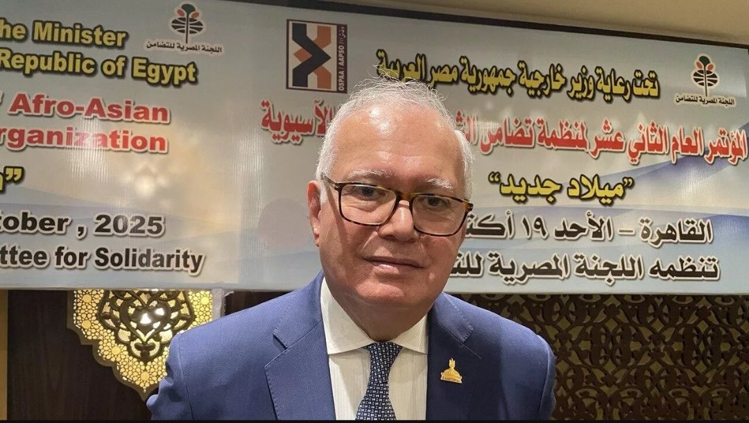 رئيس منظمة (تضامن الشعوب الأفريقية الآسيوية): يمكن أن نصبح إحدى أدوات الدبلوماسية في دول كثيرة (سبوتنيك)