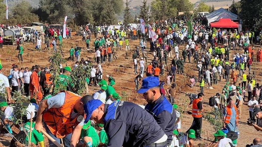 أعطى وزير الفلاحة ياسين مهدي وليد، إشارة انطلاق الحملة من ولاية تيزي وزو بمنطقة القبائل شرقي الجزائر العاصمة (الاناضول)