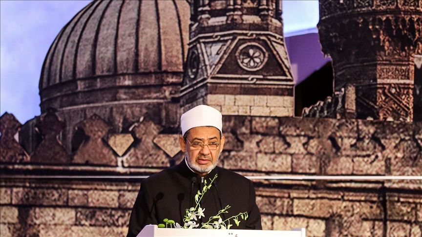 شيخ الأزهر يحث إيطاليا على الاعتراف بدولة فلسطين (الأناضول)