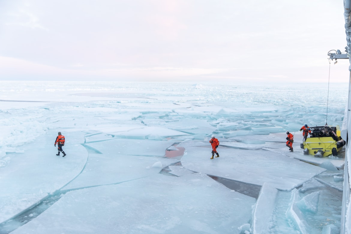 اكتشاف حياة (مستحيلة) تحت جليد القطب الشمالي (أونسبلاش)