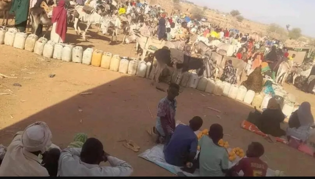 مجلس الأمن الدولي يدعو إلى محاسبة مرتكبي الانتهاكات بحق المدنيين في الفاشر السودانية (سبوتنيك)