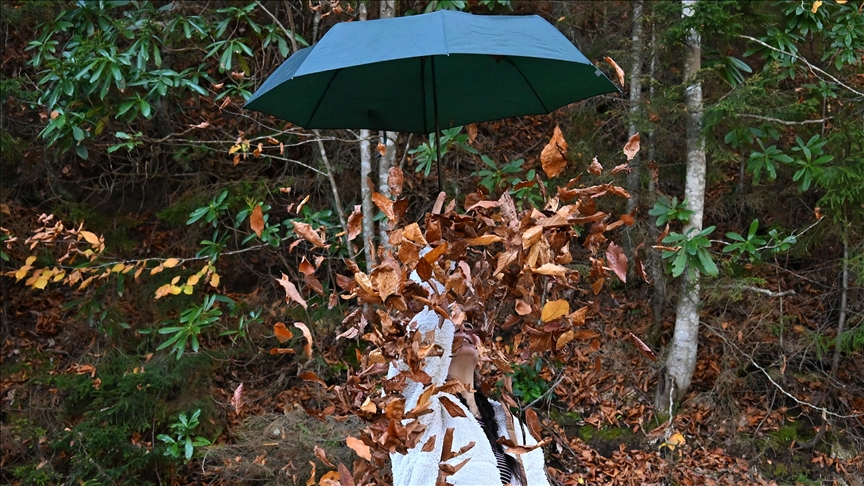 مرتفعات (هامسي كوي).. جمال تزينه ألوان الخريف بتركيا (الأناضول)