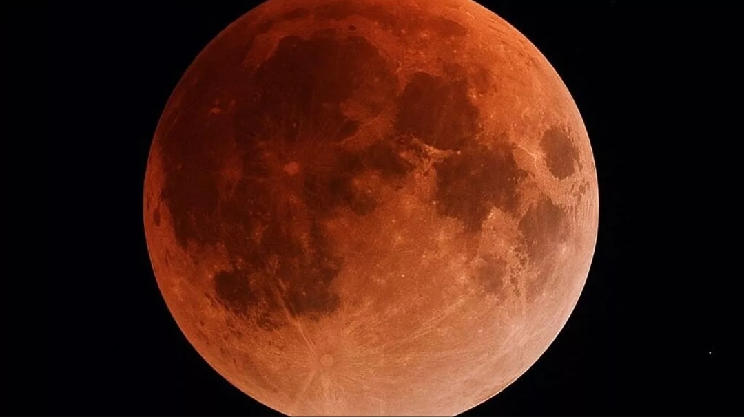 استعدوا لقمر (القندس) العملاق.. مشهد سماوي لا يفوت (سبوتنيك)