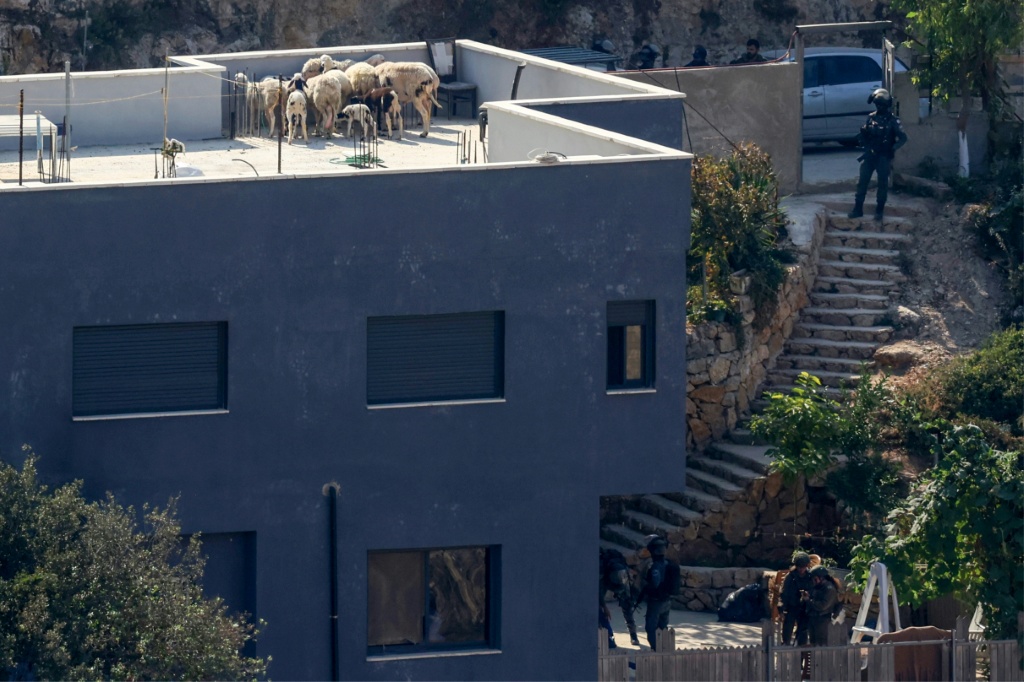 أغنام على سطح منزل بينما يقوم جنود الاحتلال بإخلاء المبنى قبل هدمه في قرية قطنة بالضفة الغربية المحتلة في 6 تشرين الثاني/نوفمبر 2025 (ا ف ب)