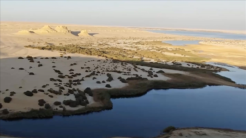 (وادي الحيتان) بمصر.. كنز بيئي نهارا وجلسة للسمر ليلا (الأناضول)