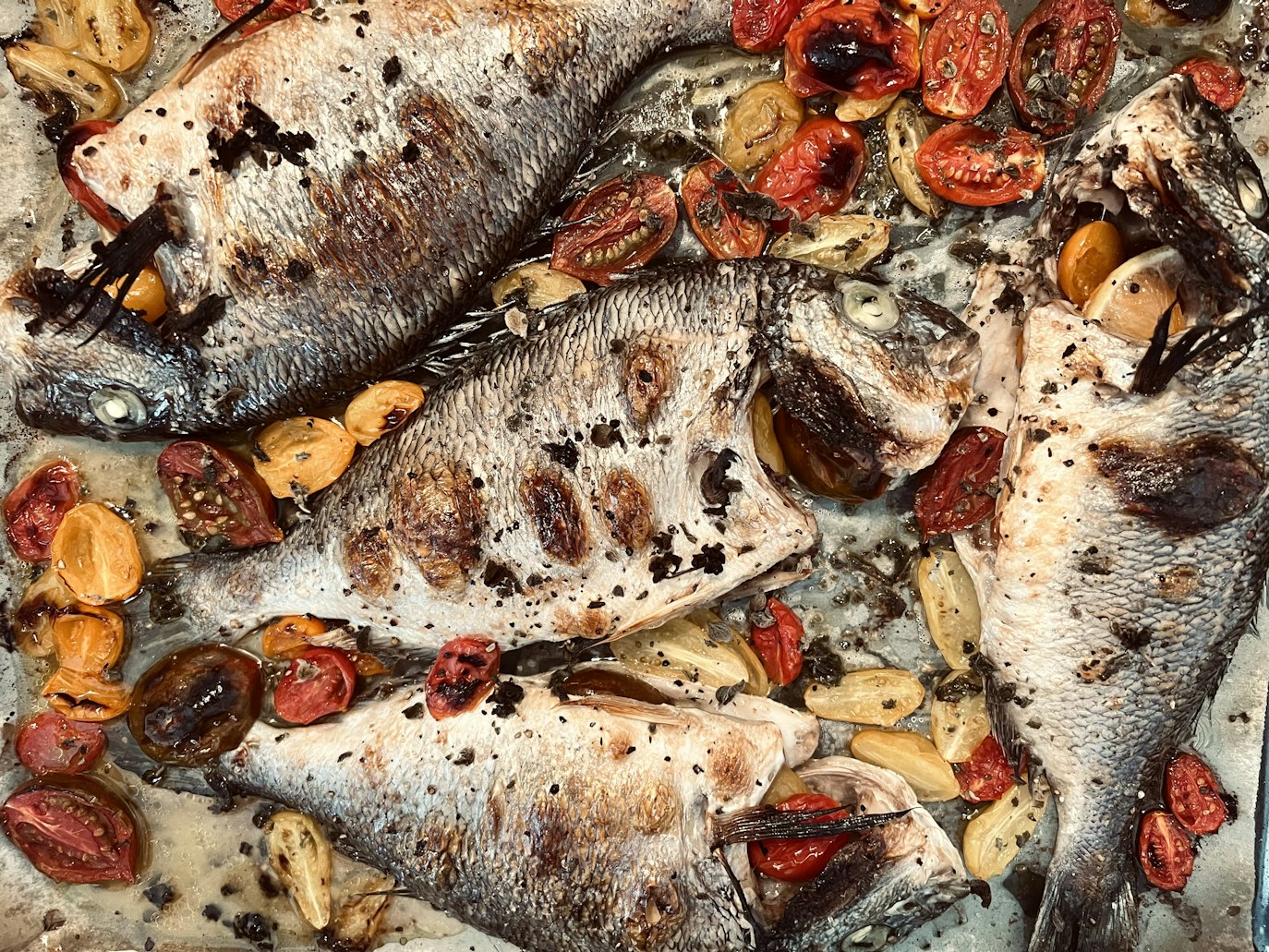 5 فوائد مذهلة للأسماك تتجاوز أوميغا-3 (أونسبلاش)