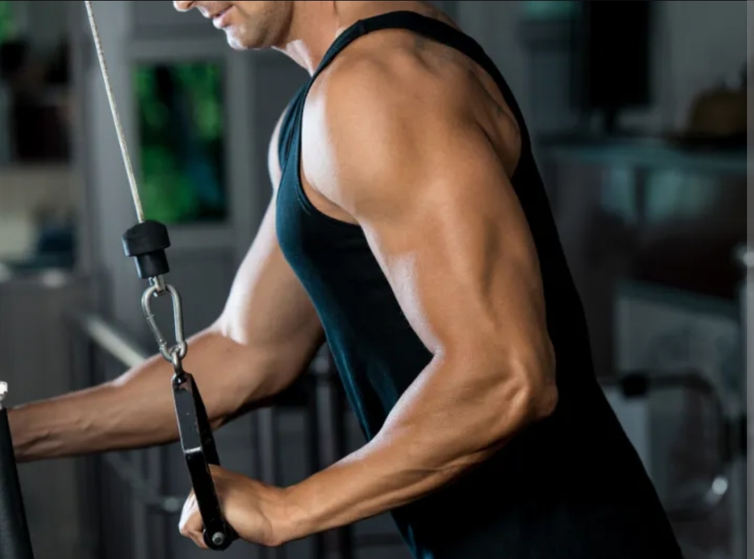 الأوزان الحرة أم الأجهزة أفضل لبناء العضلات؟.. دراسة توضّح (الرجل)