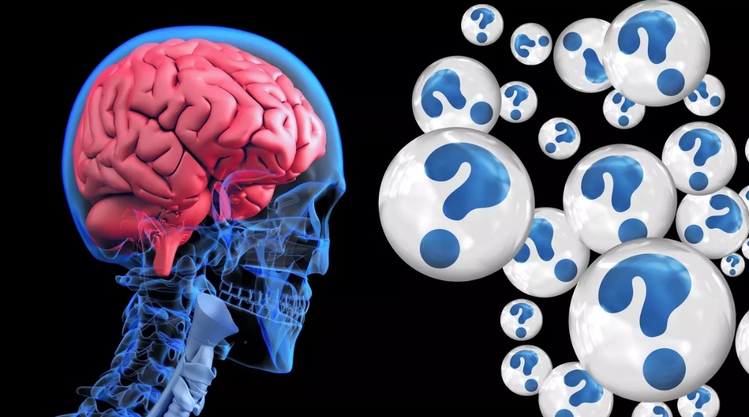 دراسة: أمراض اللثة قد تزيد مخاطر تلف المادة البيضاء في الدماغ (بيكسابي)