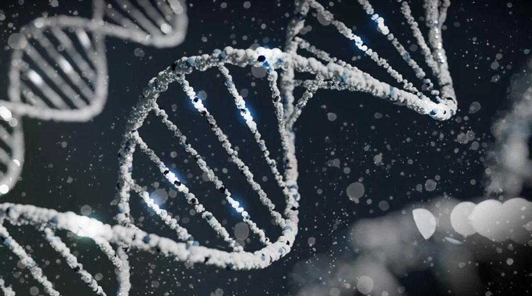 دراسة تكشف التوصل لحل لغز قد يطيل عمر البشر لمئات السنين (أونسبلاش)