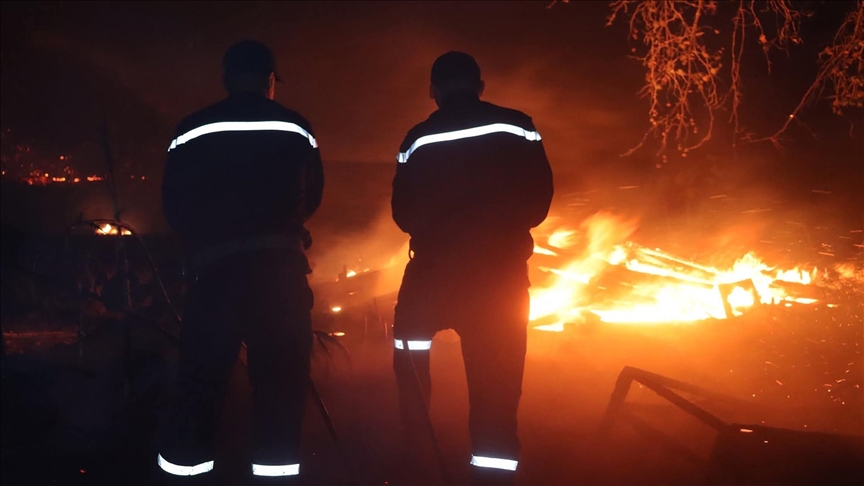 الجزائر.. حرائق غابات تزامنا مع حرارة مرتفعة ورياح جافة (الأناضول)