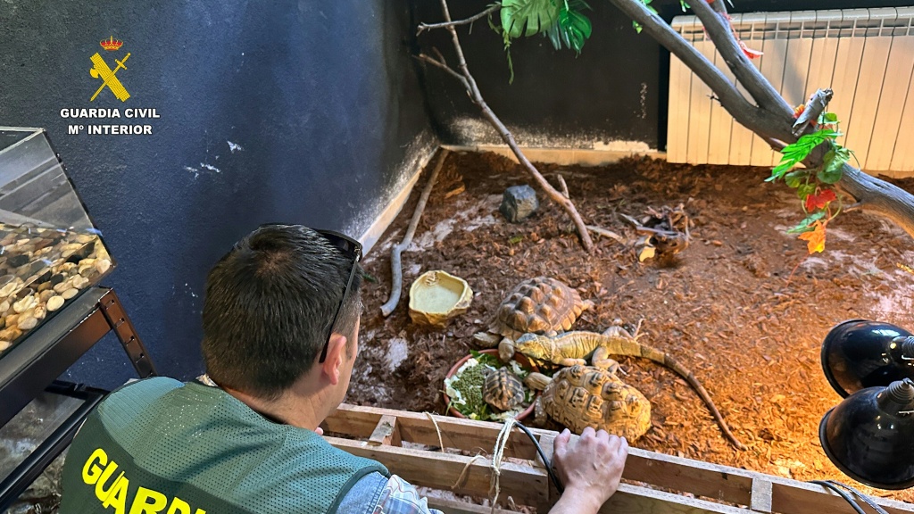 الشرطة الاسبانية تصادر حيوانات من محمية في مقاطعة أفيلا (ا ف ب)