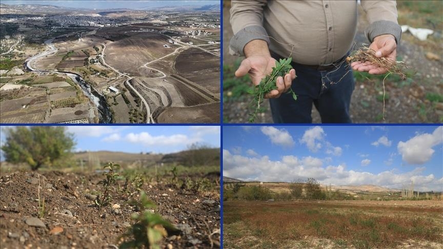جفاف نهر العاصي يفاقم معاناة المزارعين بإدلب السورية (الأناضول)