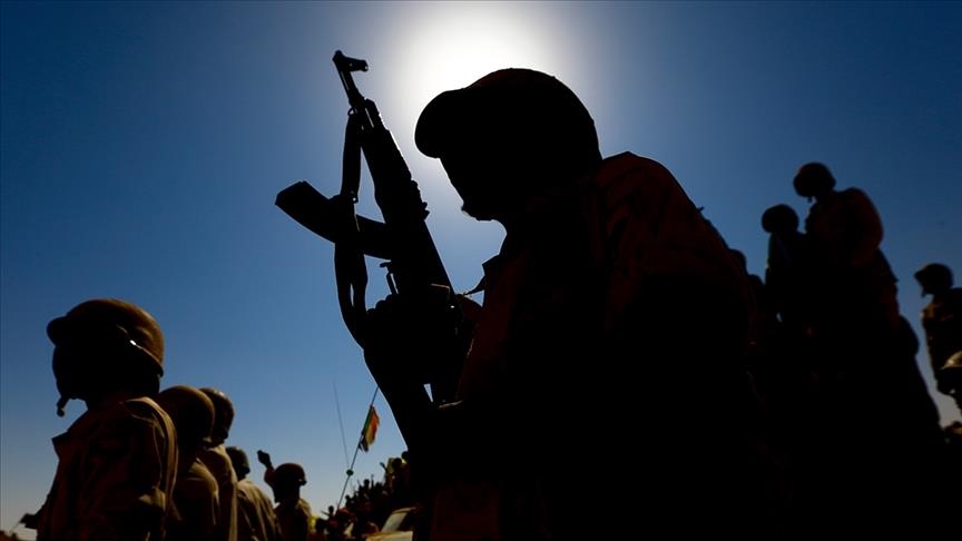 الجيش السوداني يستعيد السيطرة على (أم سيالة) في شمال كردفان (الأناضول)