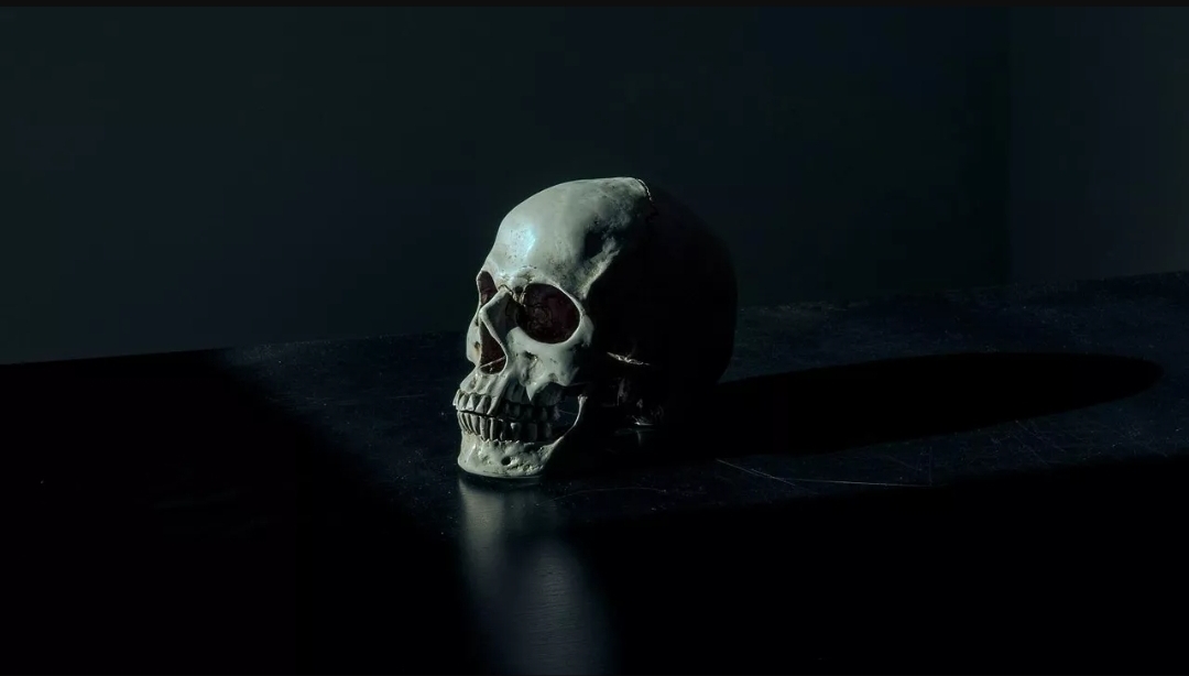 علماء روس ينجحون في تحسين (الوضوح البصري) للأنسجة القحفية (أونسبلاش)