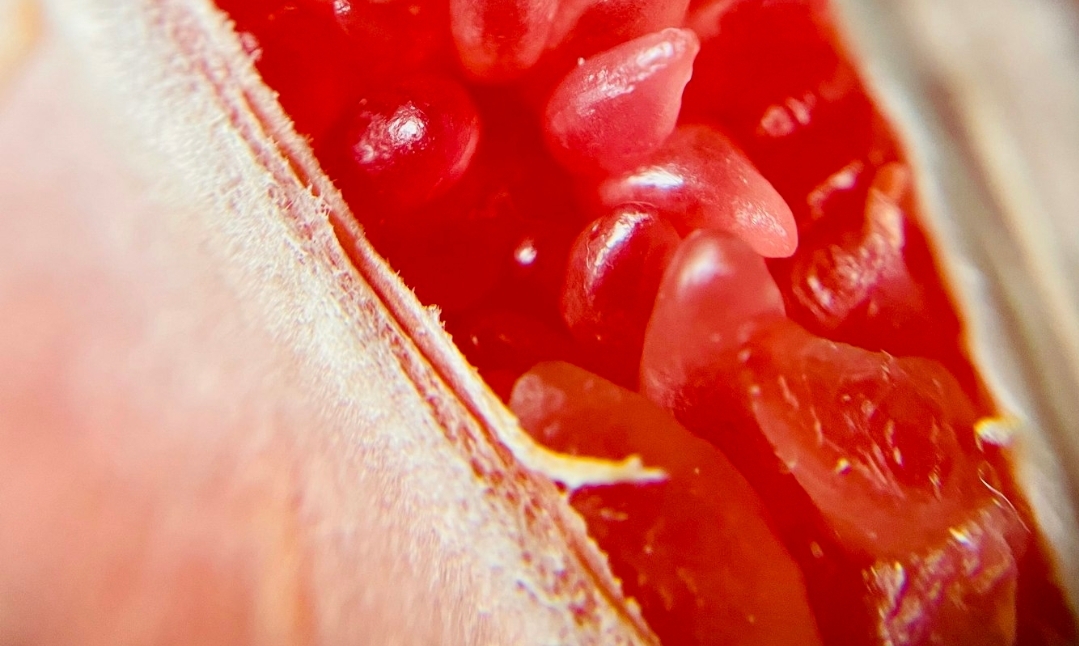 دواء جديد يخفض الكوليسترول الضار بنسبة قياسية (أونسبلاش)