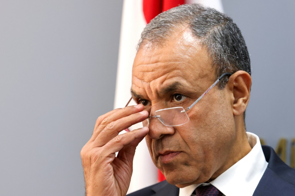 وزير الخارجية المصري بدر عبد العاطي (ا ف ب)