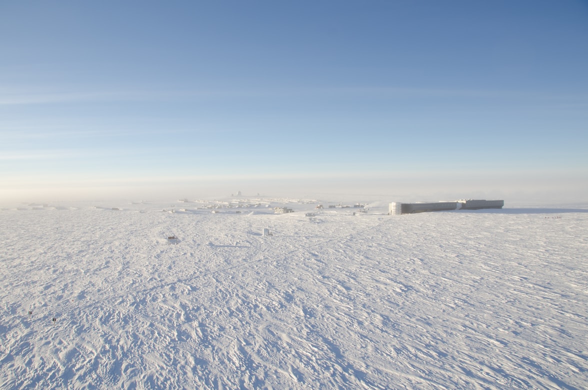 علماء روس ينجحون برزاعة 200 نوع من الخضراوات في القطب الجنوبي (أونسبلاش)