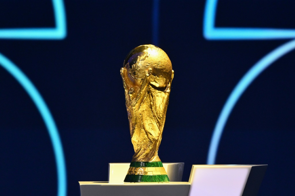 التذاكر البالغ سعرها 60 دولارا (51 يورو) ستُخصص لمشجعي المنتخبات المتأهلة (ا ف ب)