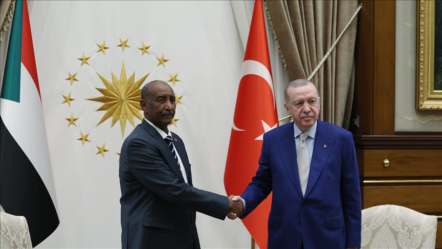 الرئيس أردوغان يبحث مع البرهان العلاقات الثنائية والمستجدات الدولية (الأناضول)