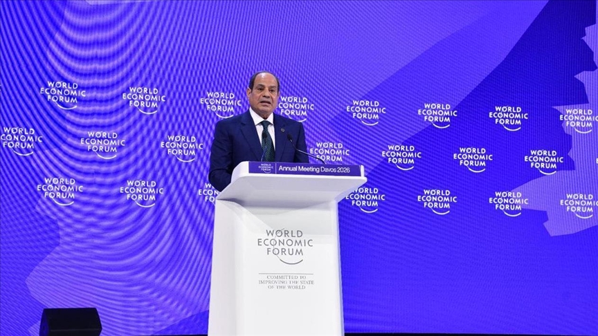 الرئيس المصري عبد الفتاح السيسي (الاناضول)