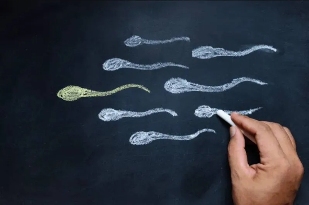 اكتشاف آلية بيولوجية قد تفسر حالات العقم الذكري غير المفسرة (الرجل)