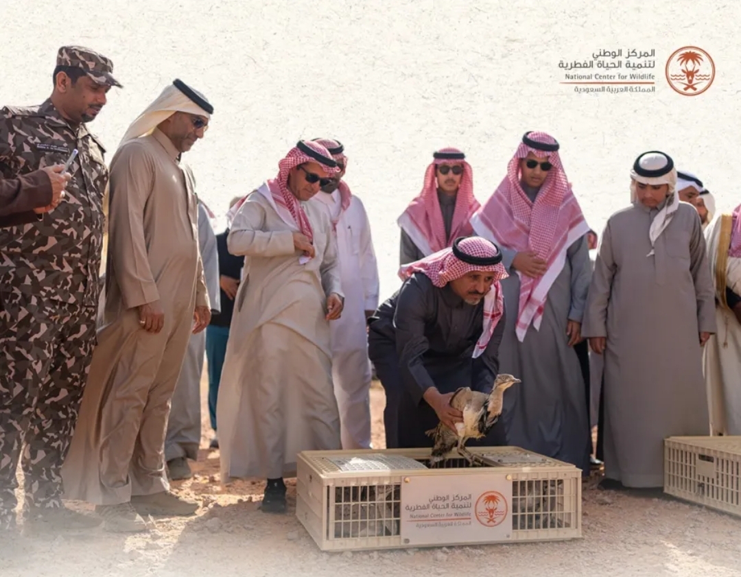لحظة إطلاق أحد الكائنات الفطرية في محمية الملك عبدالعزيز (الصورة من حساب المحمية في إكس)