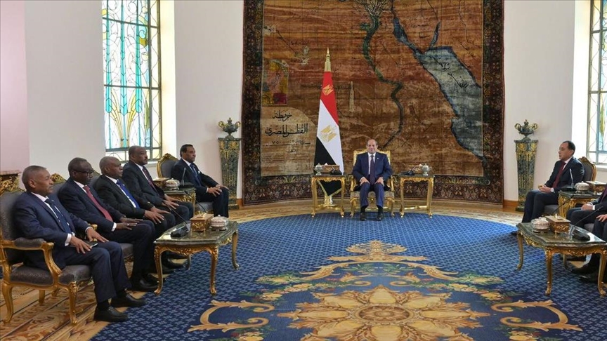 السيسي يستقبل إدريس ويشدد على دعم مصر استقرار السودان ووحدة أراضيه (الأناضول)