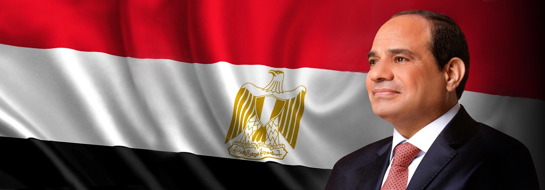 الرئيس المصري عبد الفتاح السيسي (موقع الرئاسة المصرية)