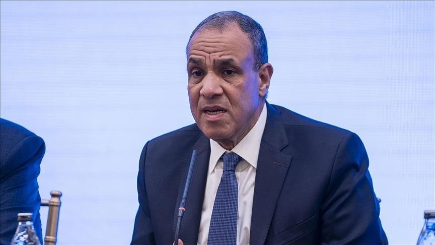  وزير الخارجية المصري بدر عبد العاطي (الاناضول)