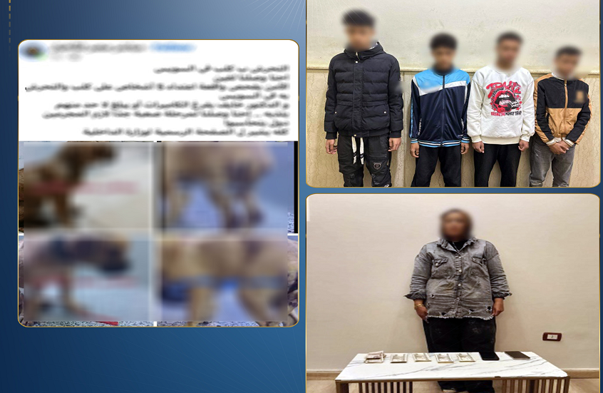مصر.. الأمن يكشف كواليس فيديو اغتصاب الكلب! (متداولة على مواقع التواصل الاجتماعي )