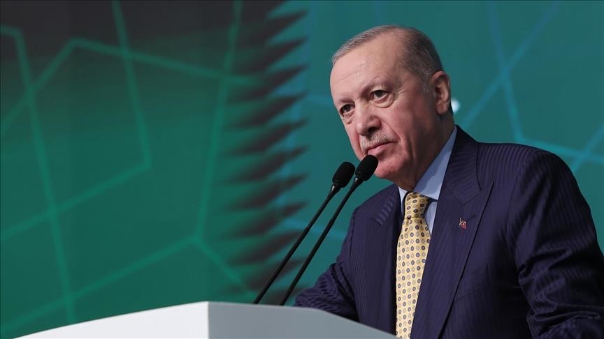 الرئيس أردوغان: أولويتنا الحفاظ على بلادنا بعيدا عن حفرة النار (الأناضول)