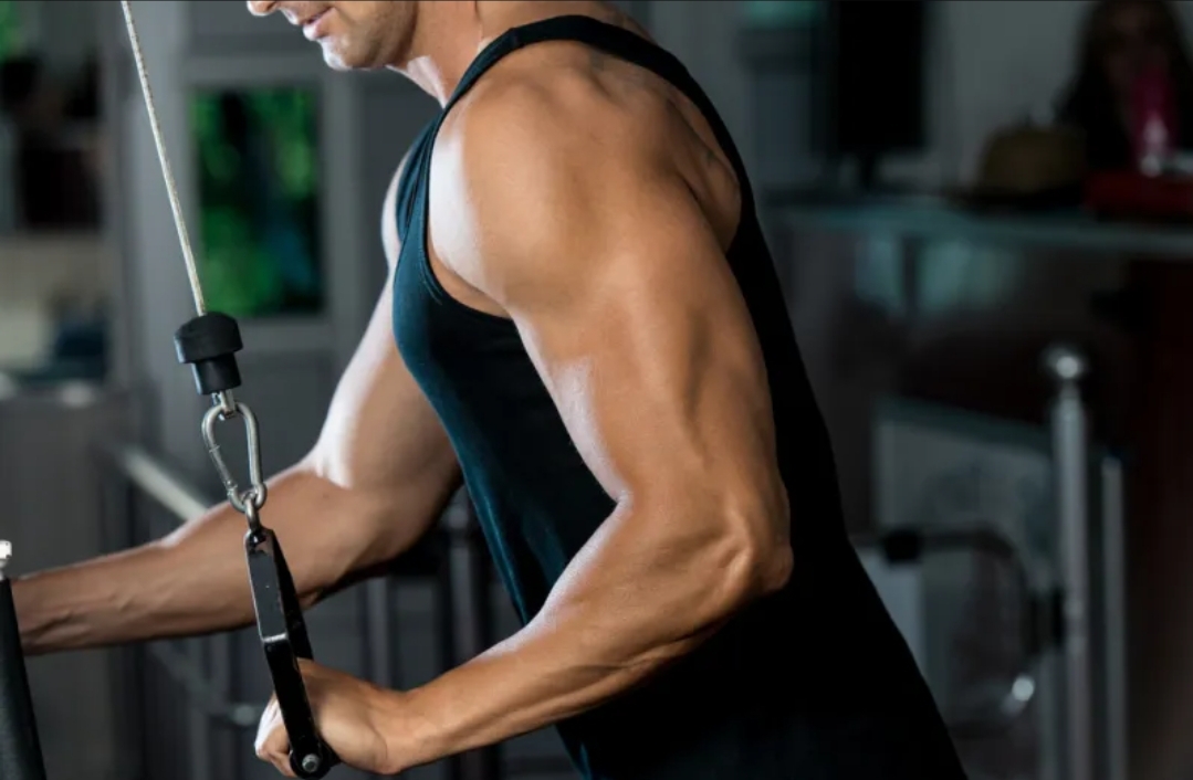 بكتيريا في الأمعاء تمنحك عضلات أقوى.. ما هي وماذا تفعل؟ (الرجل)