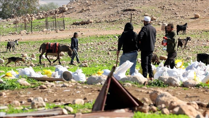 أوضحت المصادر أن المستوطنين "سرقوا عددا من الأغنام من المنطقة، إلى جانب تنفيذ اعتداءات على ممتلكات السكان" (الاناضول)