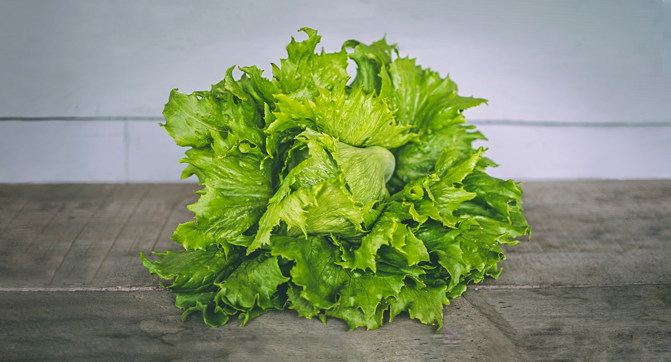غذاء شائع (يطهّر) جسمك من (سموم خطيرة) مرتبطة بالسرطان (أونسبلاش)