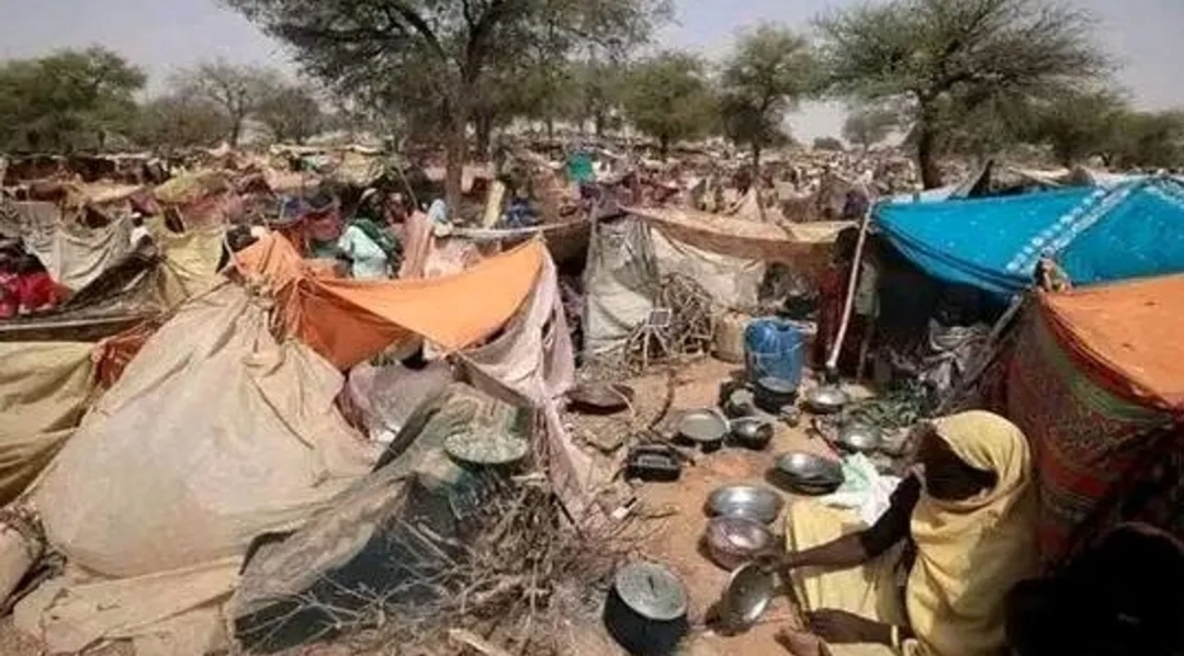 بعد تحذيرات دولية من كارثة.. ما حقيقة المجاعة التي تضرب مناطق واسعة في السودان؟